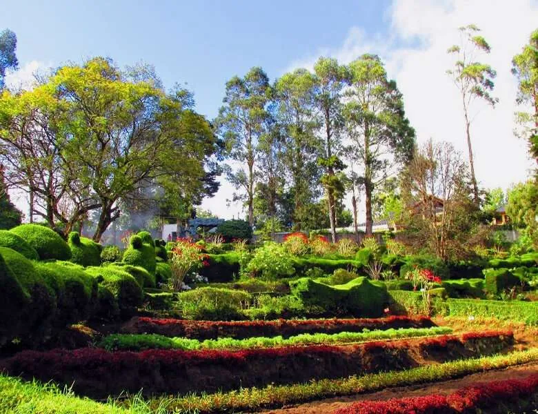 Blooming flowers at Bryant Park near Zacs Valley Resort