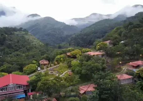 Kodaikanal Land Sale: Discover the Best Areas to Buy Property in the Hills with Zacs Realty
