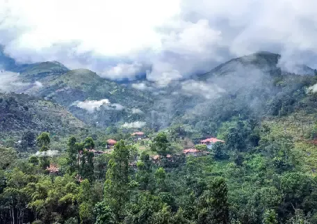 Plots for Sale in Kodaikanal - A Rare Investment in Nature’s Lap