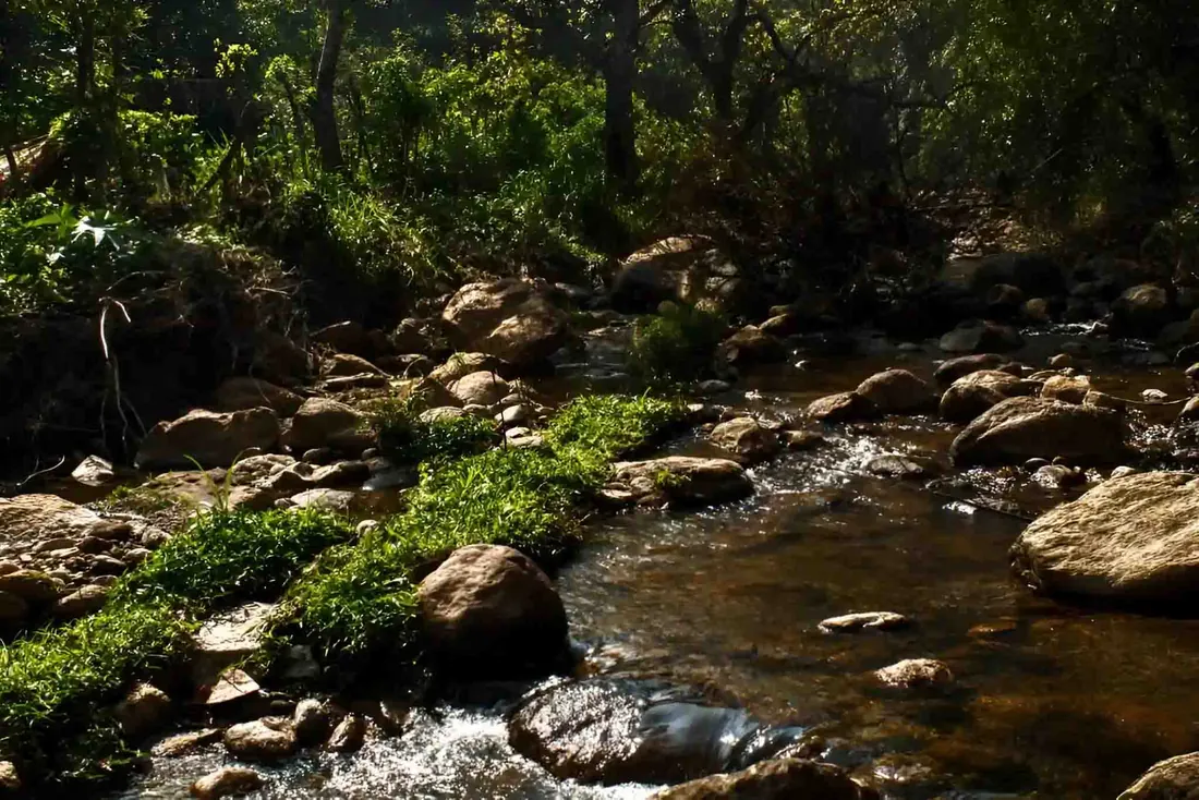 Zacs Valley Resort, Nature & Views, photo 22