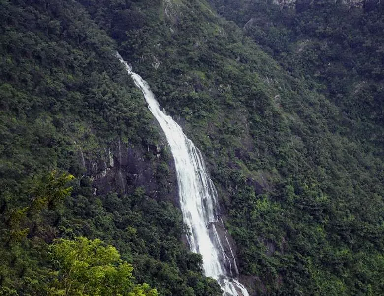 Breathtaking view of Thalaiyar Falls near Kodaikanal