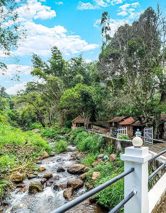 Zacs Valley Resort, Nature & Views, photo 5